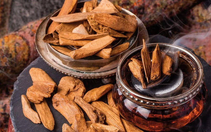 Top 10 perfumes con oud para hombre y mujer