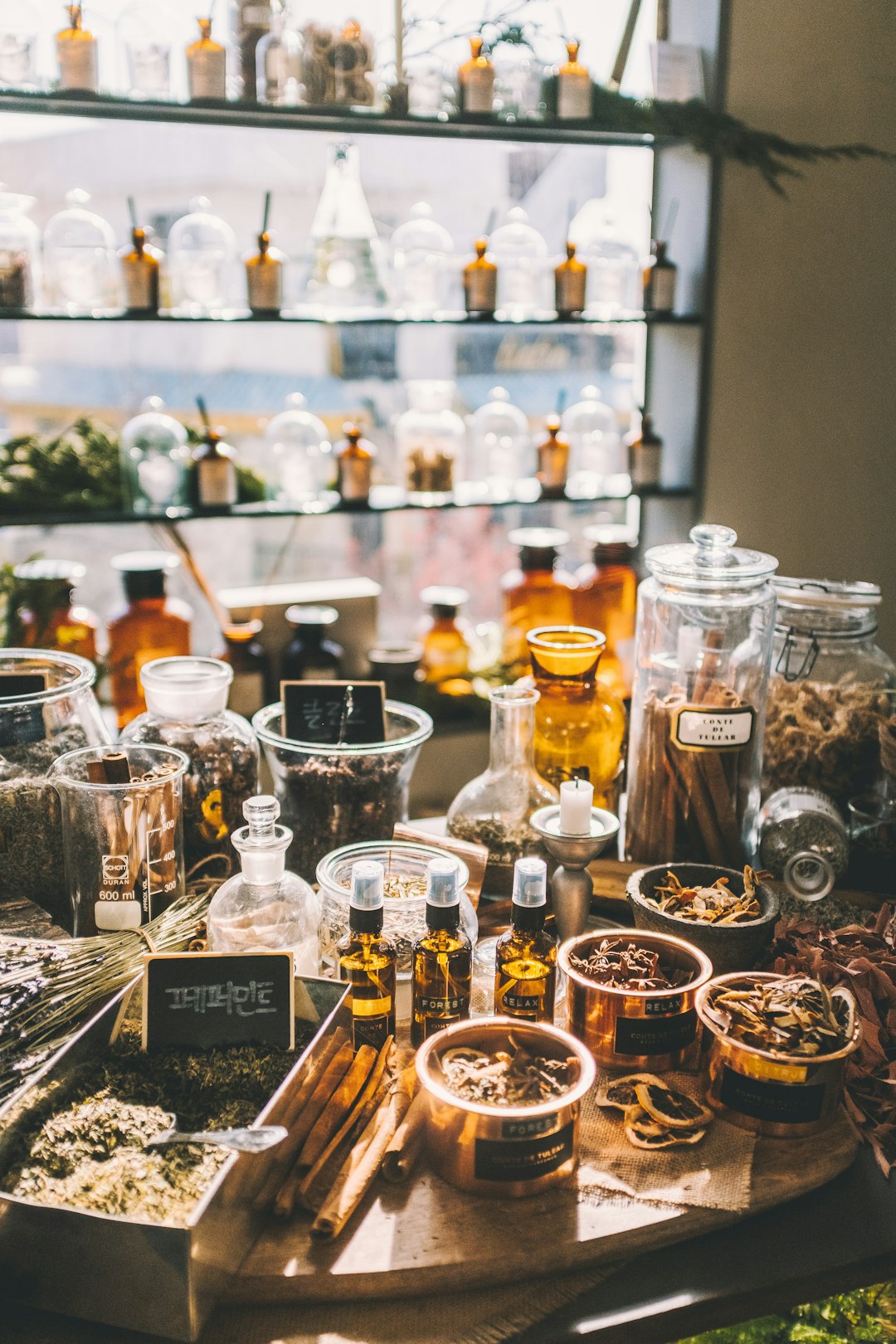 Los Perfumes Más Icónicos de la Historia