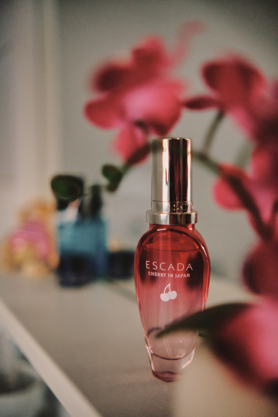 Perfumes para seducir: las mejores opciones