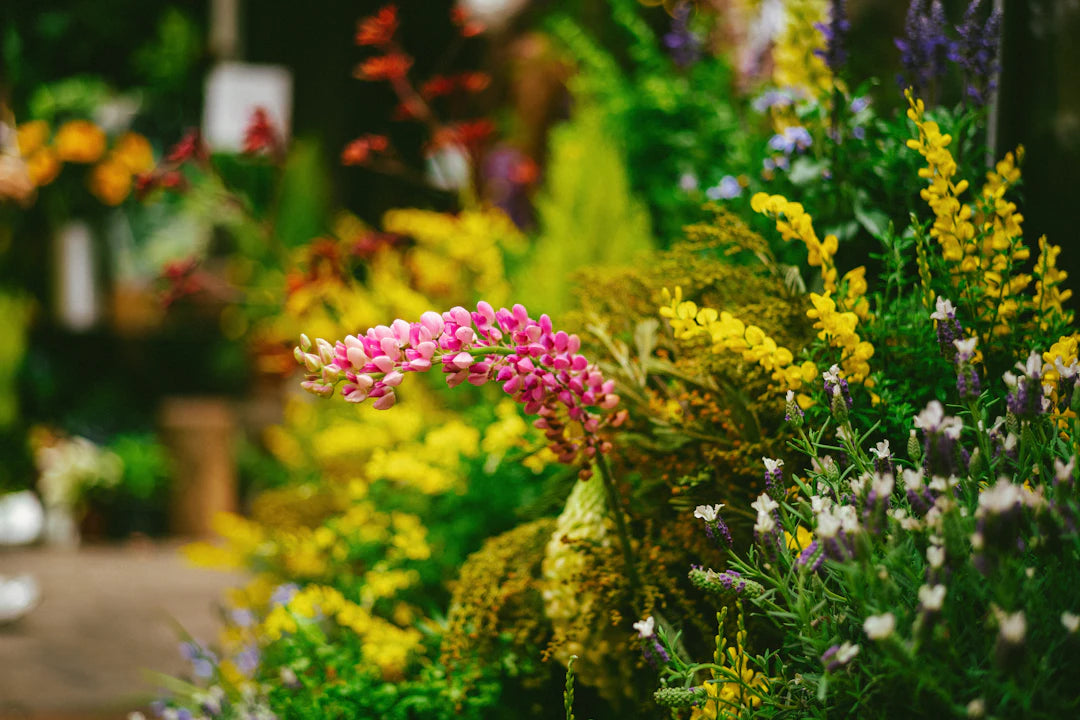 Ambientadores mikado con aromas florales y frescos