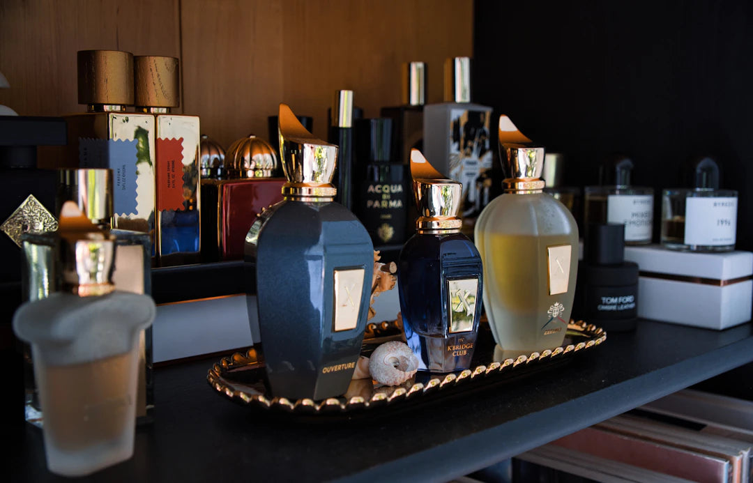 Explora Fragancias con Packs de Muestras y Perfumes Nicho