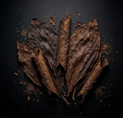 Folhas de tabaco