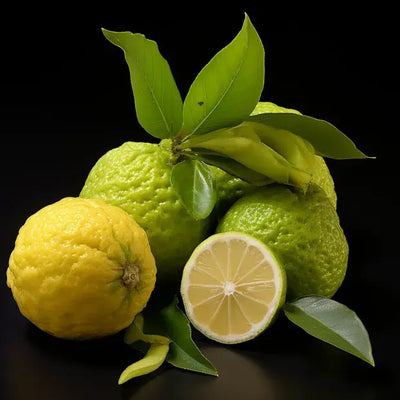 Bergamota